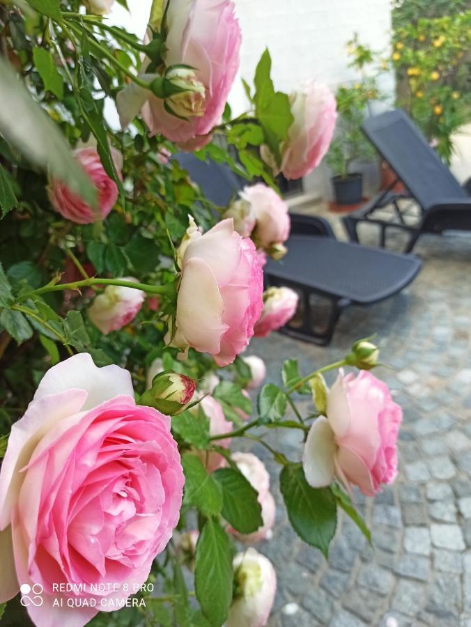 Carignano  D'Or Duble' Bed And Breakfast المظهر الخارجي الصورة